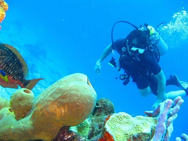axistravel diving 1707761 640